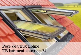 pose-de-velux