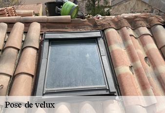 pose-de-velux