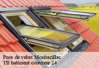 pose-de-velux