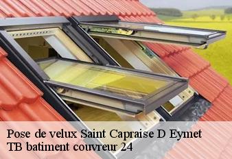 pose-de-velux