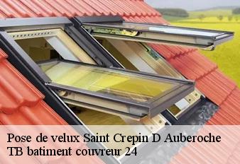 pose-de-velux