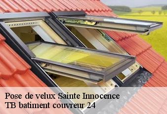 pose-de-velux