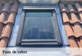 pose-de-velux