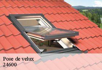 pose-de-velux