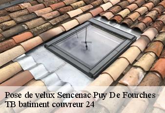 pose-de-velux