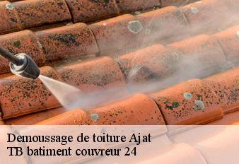 demoussage-de-toiture