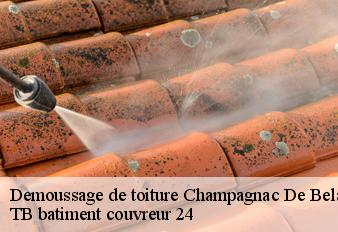 demoussage-de-toiture