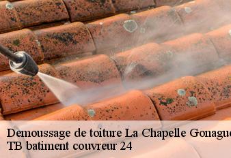 demoussage-de-toiture