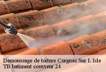 demoussage-de-toiture