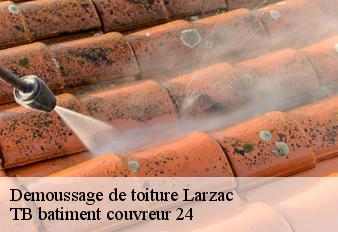 demoussage-de-toiture