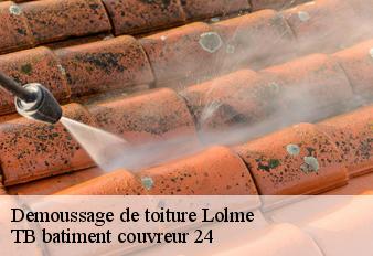 demoussage-de-toiture