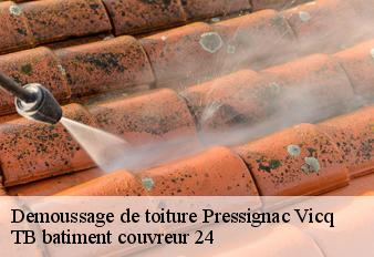 demoussage-de-toiture