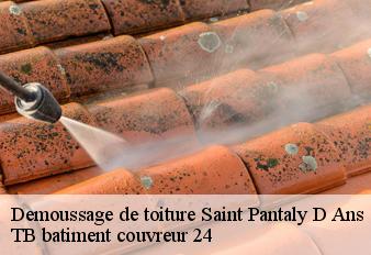 demoussage-de-toiture