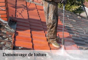 demoussage-de-toiture