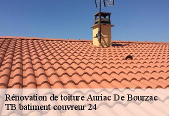 renovation-de-toiture