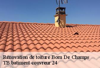 renovation-de-toiture