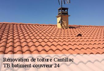 renovation-de-toiture