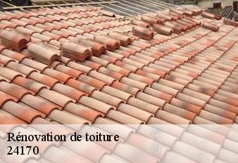 renovation-de-toiture