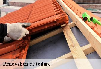 renovation-de-toiture