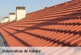 renovation-de-toiture