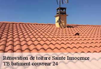 renovation-de-toiture