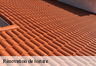 renovation-de-toiture