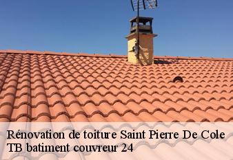 renovation-de-toiture