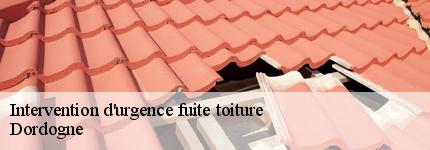 intervention-d-urgence-fuite-toiture