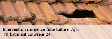 intervention-d-urgence-fuite-toiture