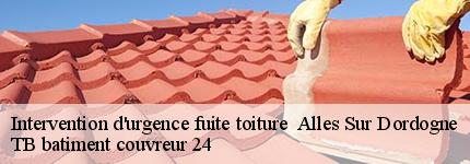 intervention-d-urgence-fuite-toiture