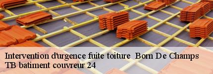 intervention-d-urgence-fuite-toiture