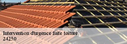 intervention-d-urgence-fuite-toiture