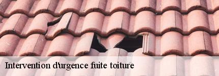 intervention-d-urgence-fuite-toiture