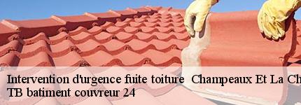 intervention-d-urgence-fuite-toiture