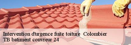 intervention-d-urgence-fuite-toiture