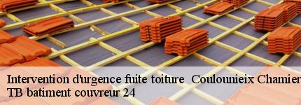 intervention-d-urgence-fuite-toiture