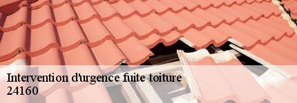 intervention-d-urgence-fuite-toiture