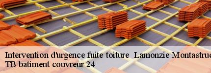 intervention-d-urgence-fuite-toiture