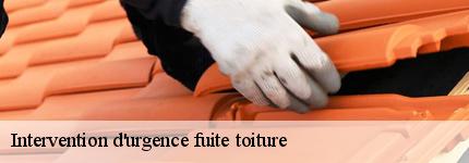 intervention-d-urgence-fuite-toiture