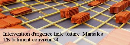 intervention-d-urgence-fuite-toiture