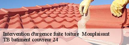 intervention-d-urgence-fuite-toiture