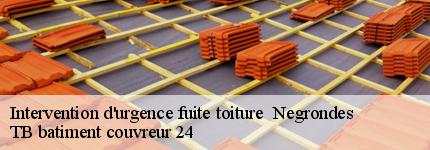 intervention-d-urgence-fuite-toiture