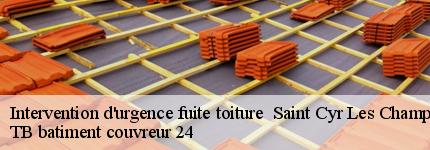 intervention-d-urgence-fuite-toiture