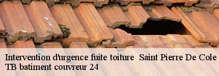 intervention-d-urgence-fuite-toiture