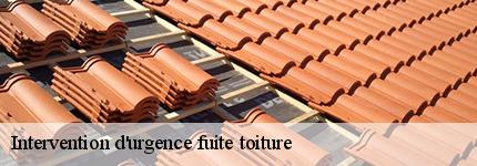 intervention-d-urgence-fuite-toiture